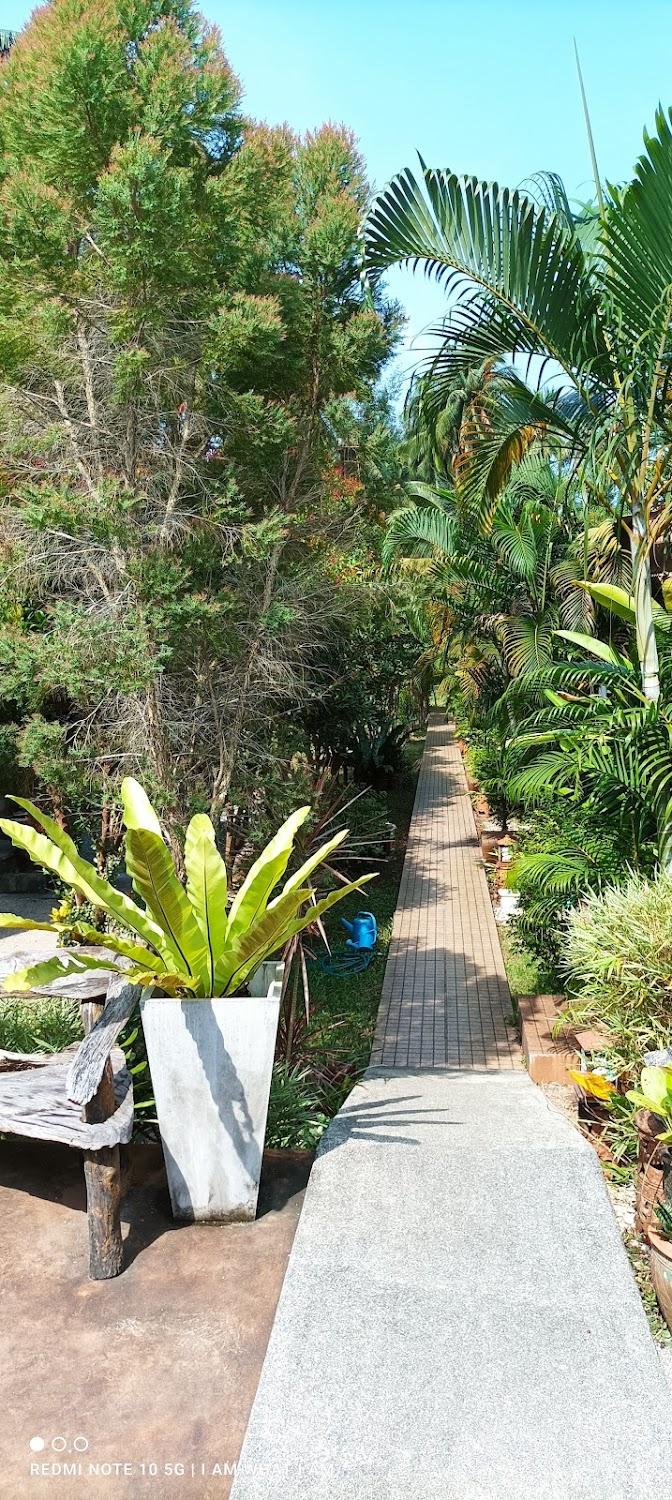 Cover Image for Goodwill Bungalow