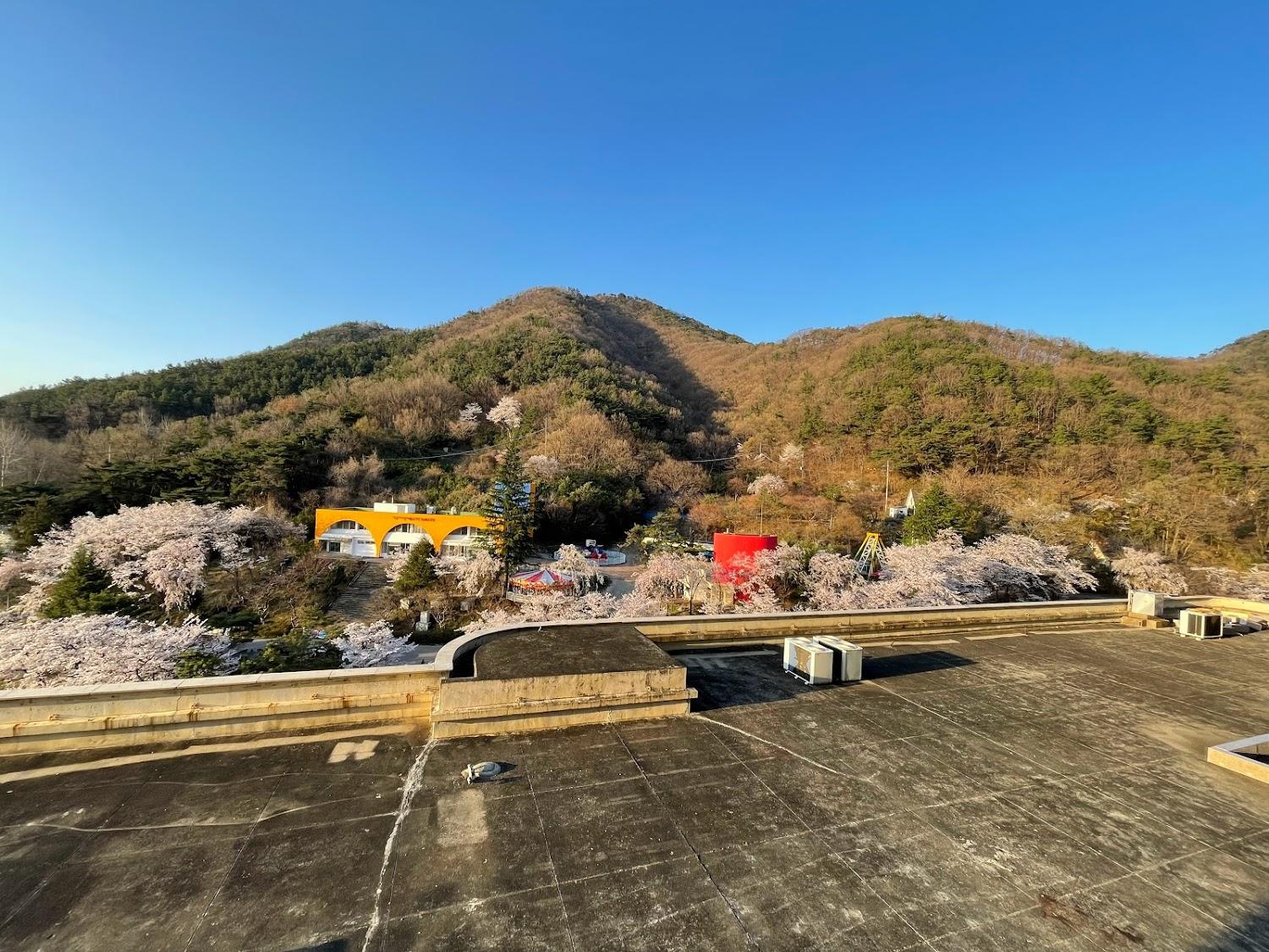 Cover Image for 호텔무등파크 광주