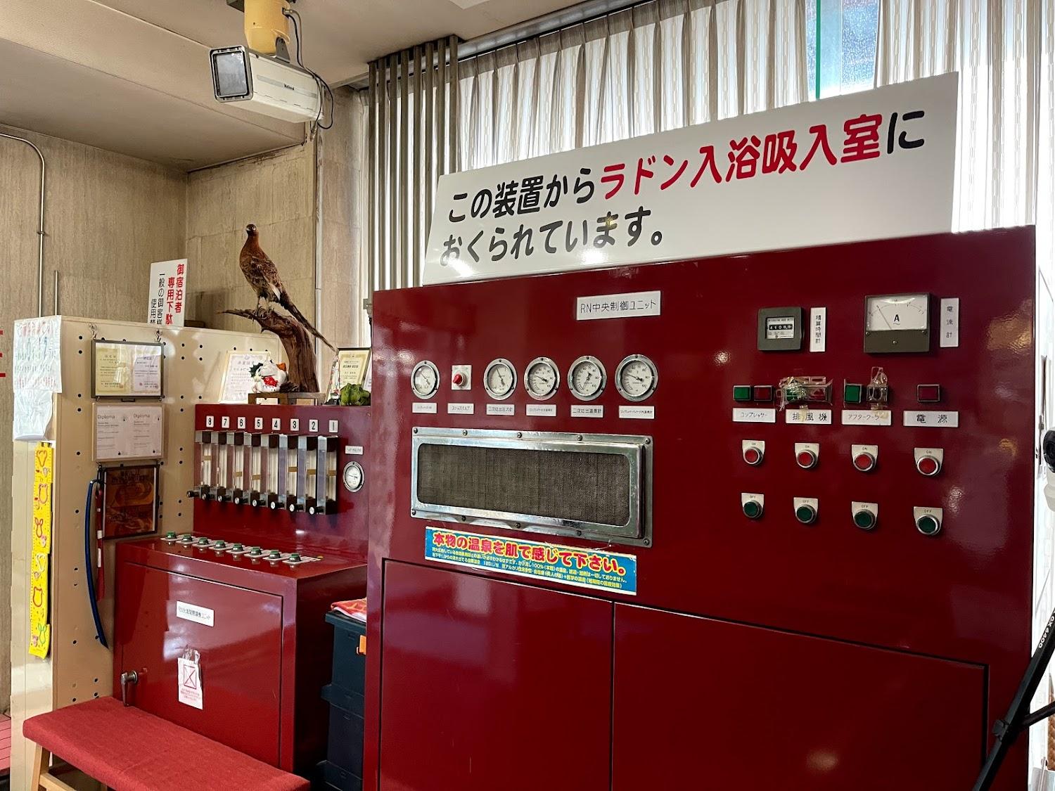 Cover Image for 竜王ラドン温泉