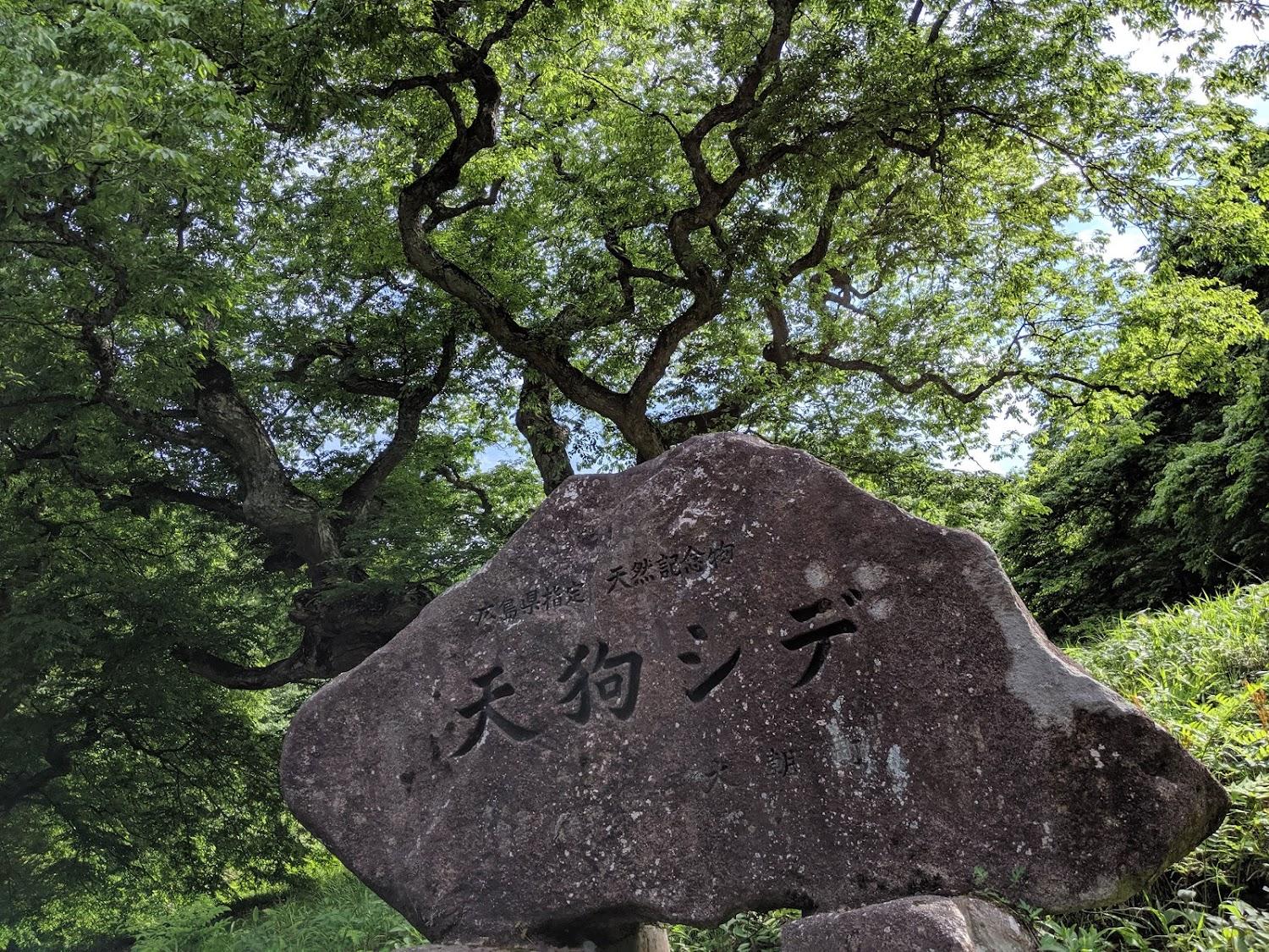 Cover Image for 広島市青少年野外活動センター