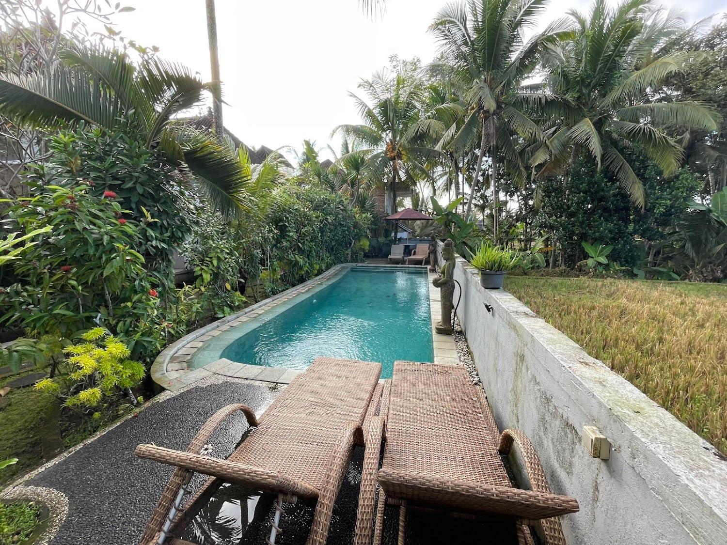 Cover Image for The Namparan Villa