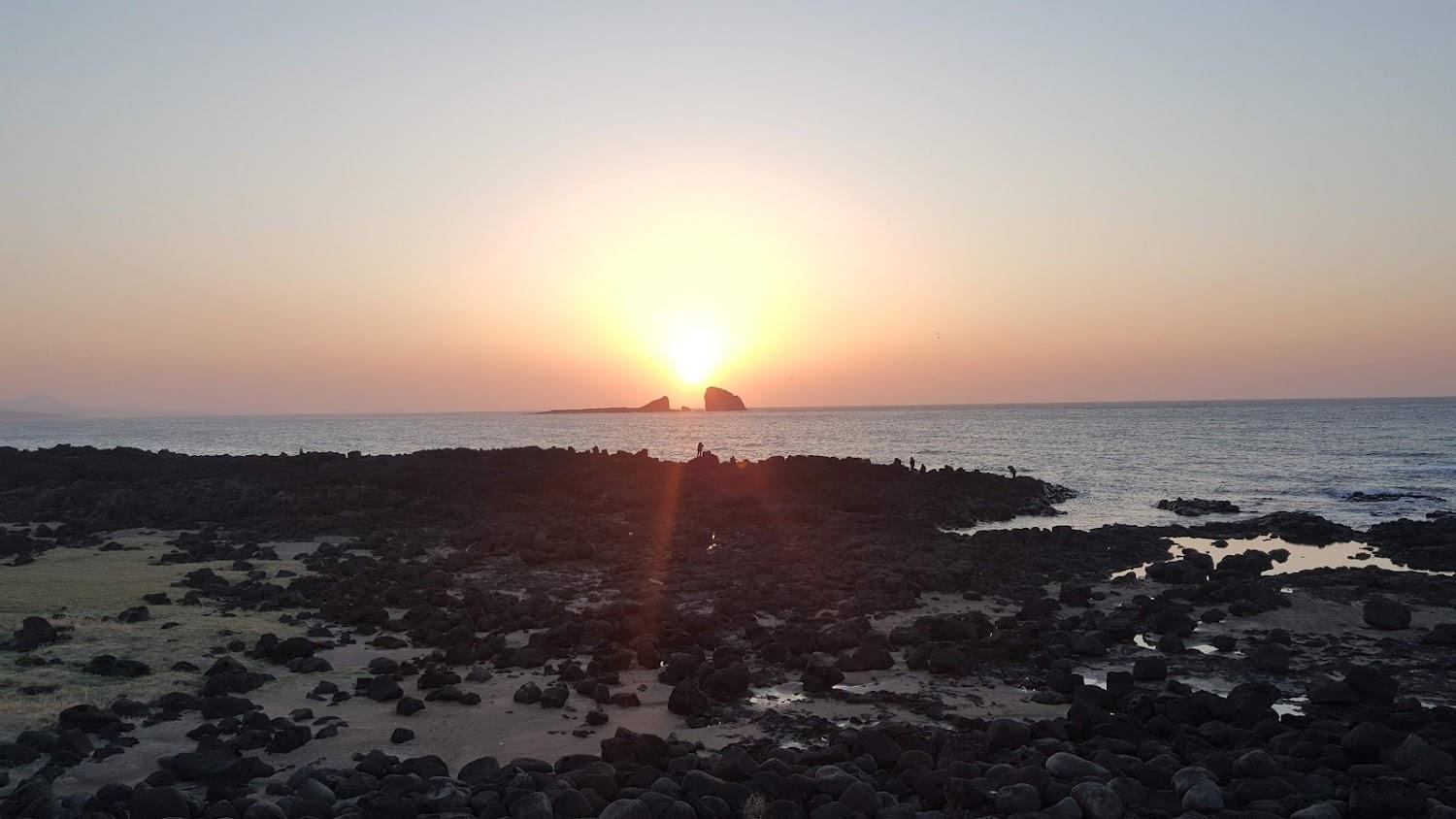 Cover Image for 펄팜펜션