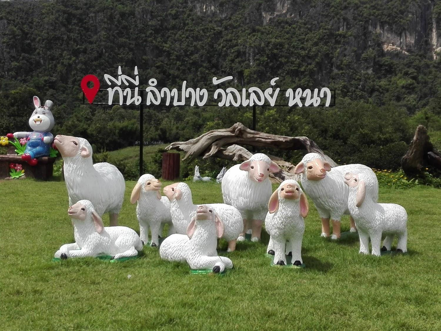 Cover Image for Goodluck Resort@phayaoกู๊ดลักรีสอร์ทพะเยา