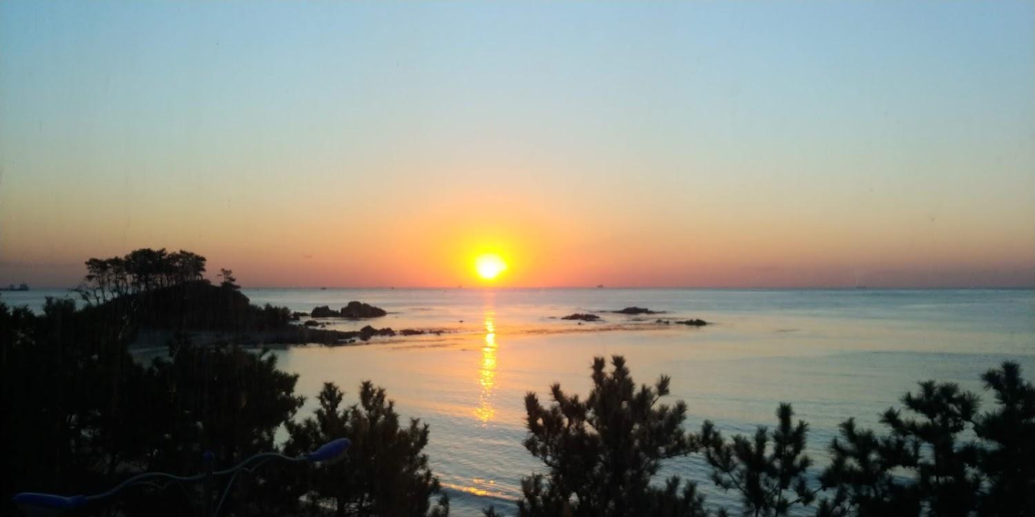 Cover Image for 진하리조트
