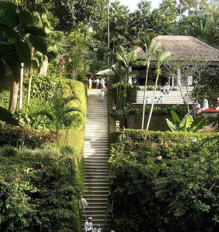 Cover Image for Villa Mawar