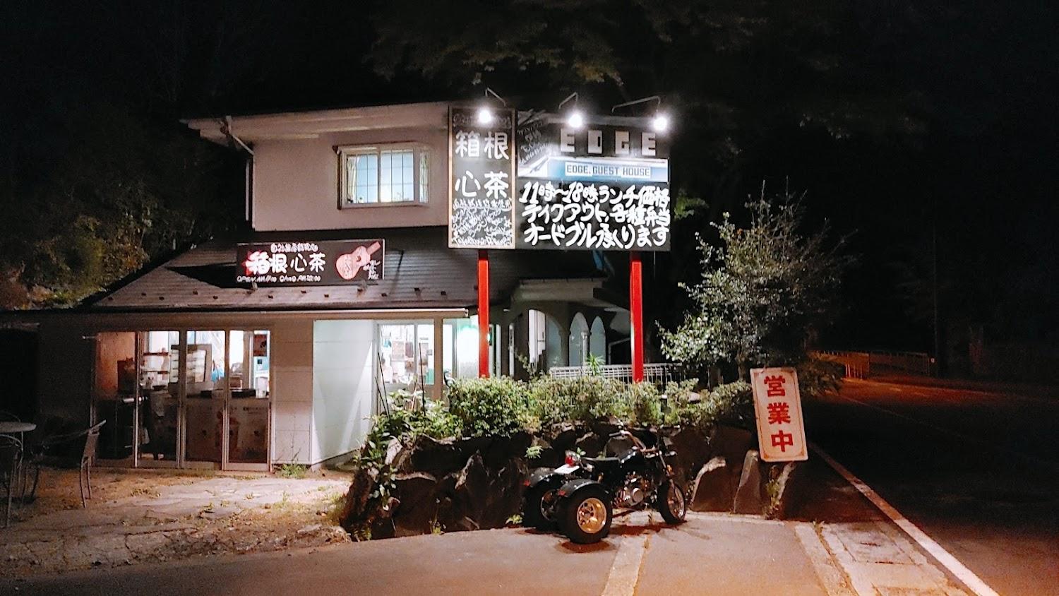 Cover Image for HAKONE BIG TREE