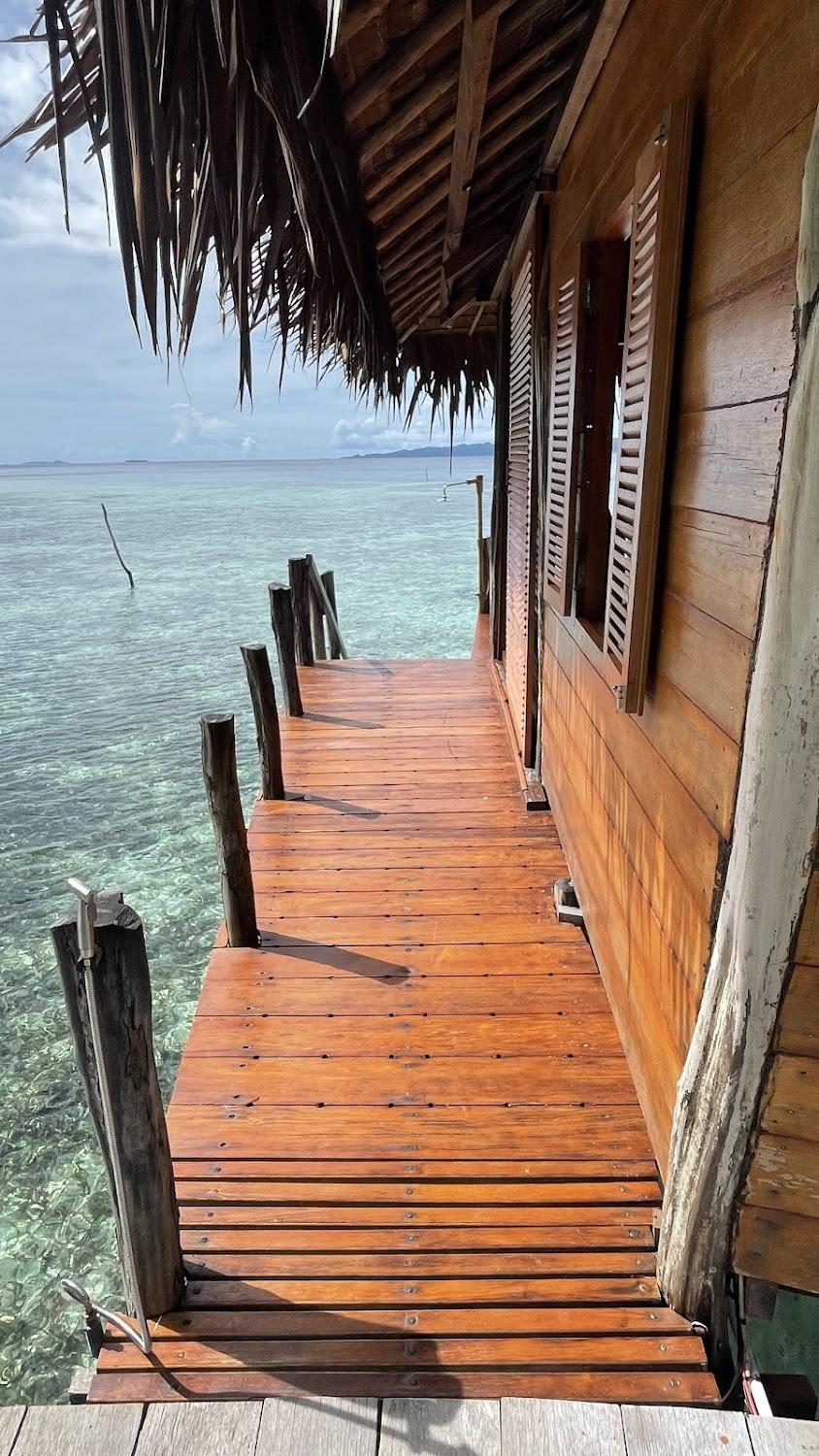 Cover Image for Nyande Raja Ampat