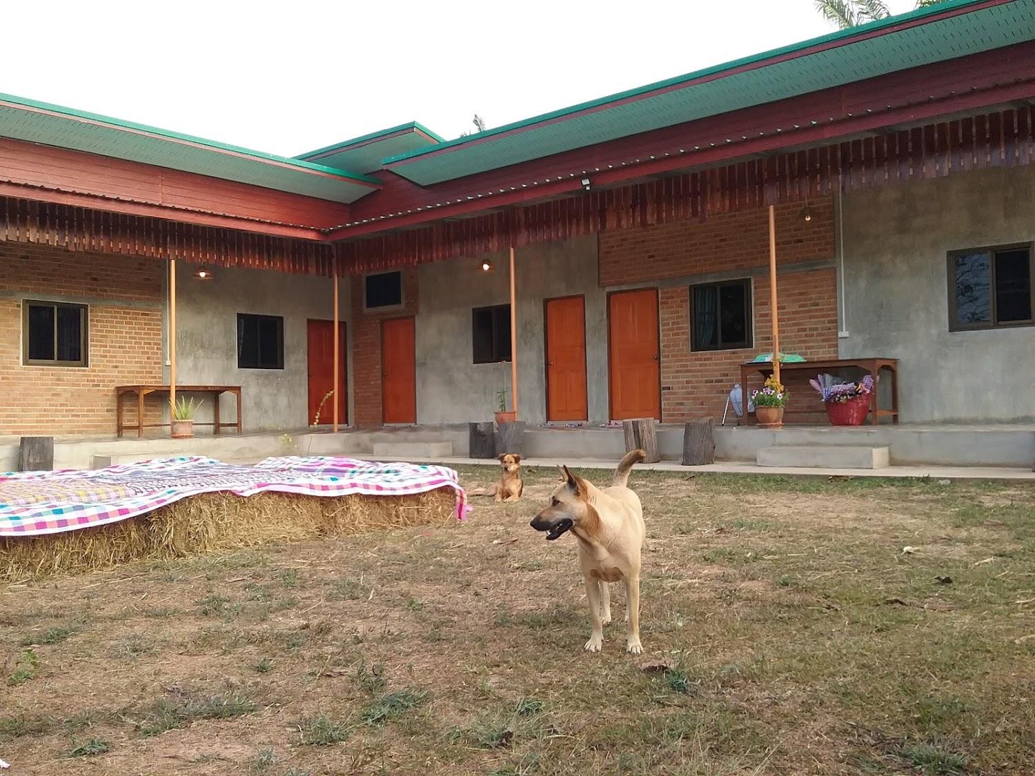 Cover Image for Yoga Homestay Seka