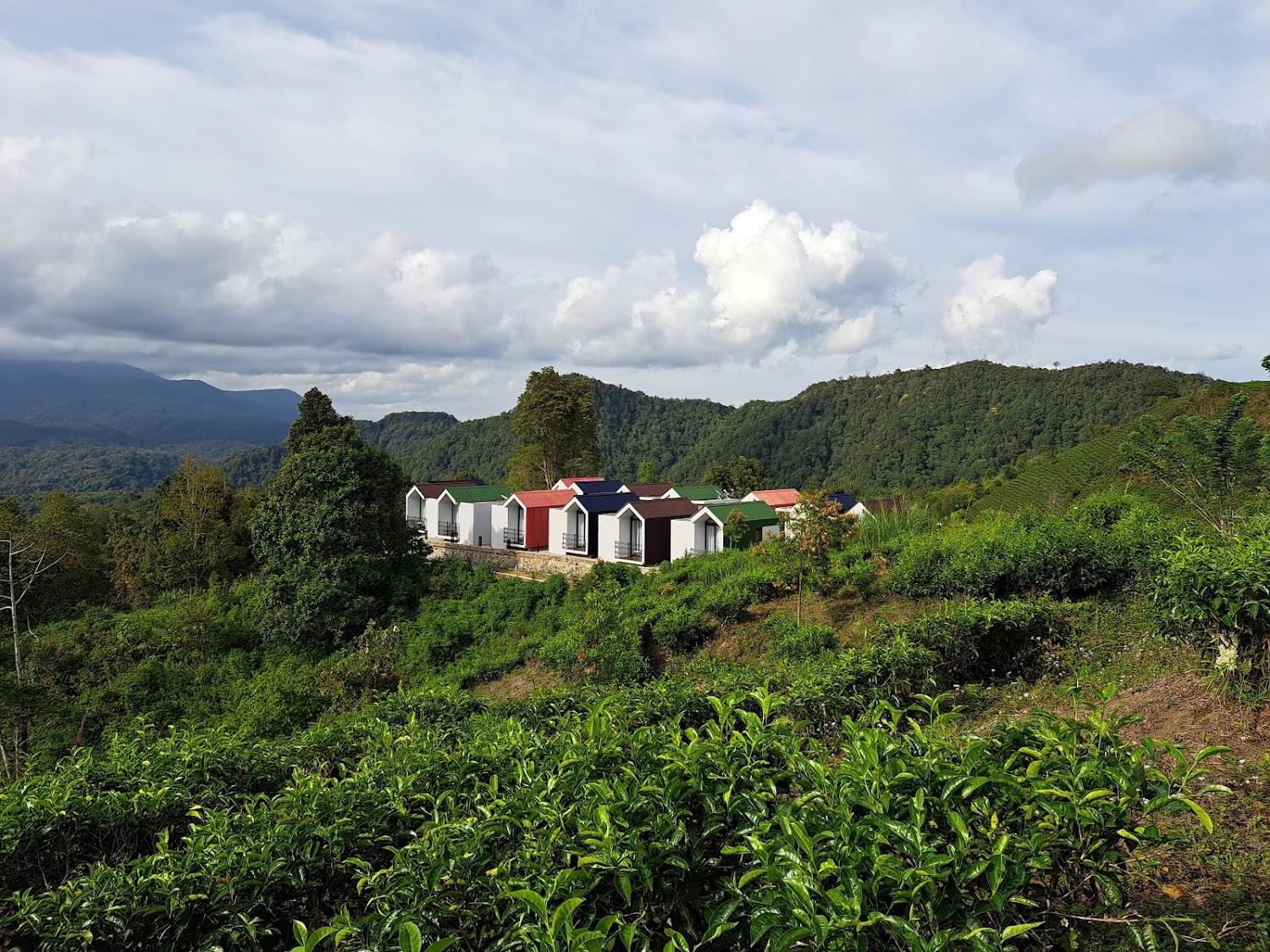 Cover Image for Daima Moosa Glamping Park