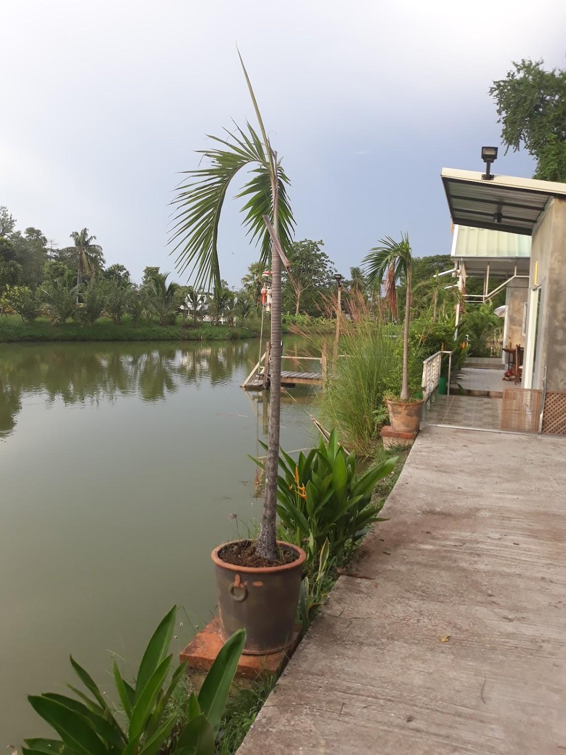Cover Image for THE SUKHOTHAI HOUSE