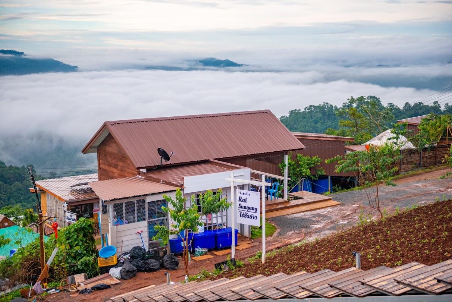Cover Image for ไร่ซัวย่าง