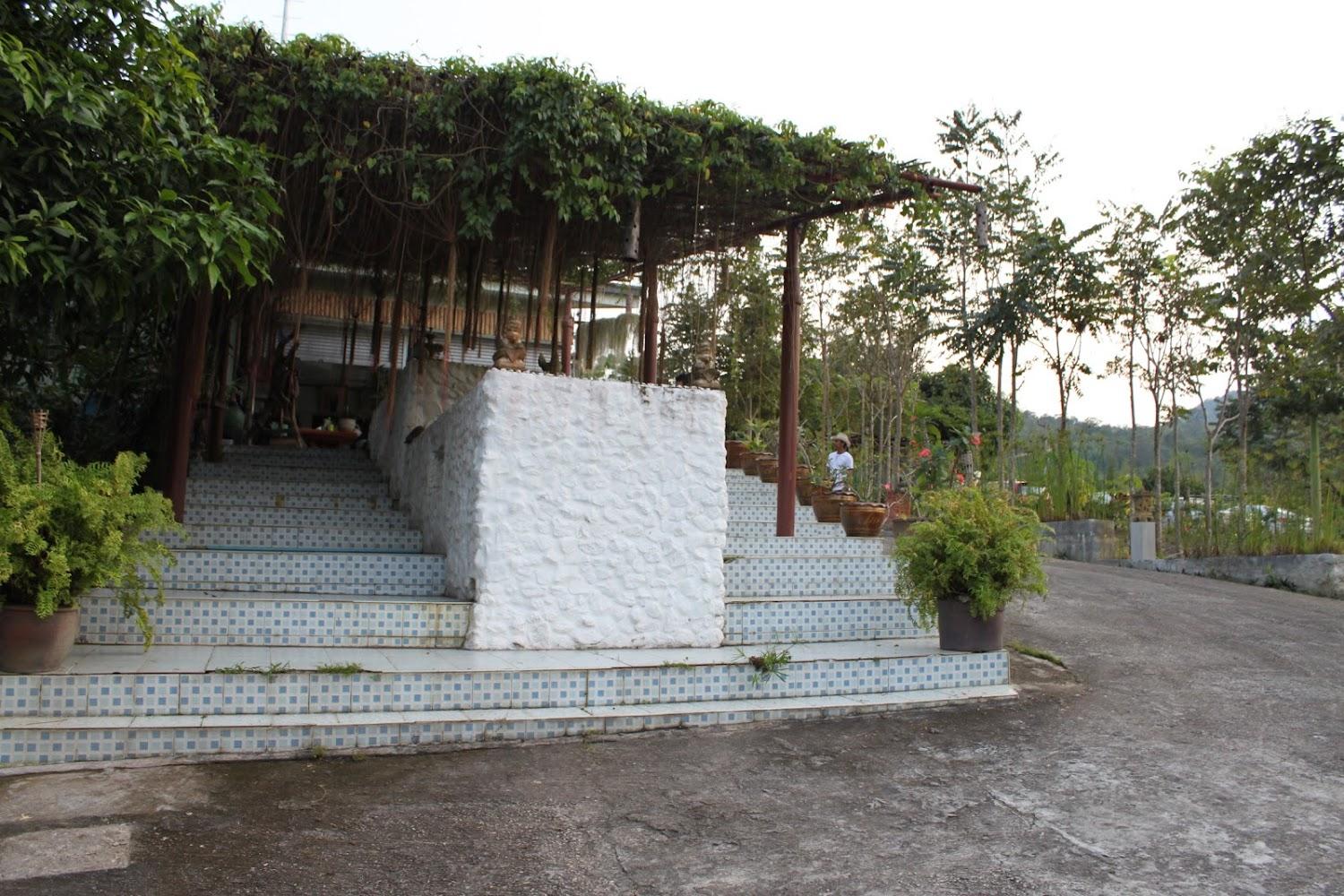 Cover Image for ไร่พงษ์แพทย์