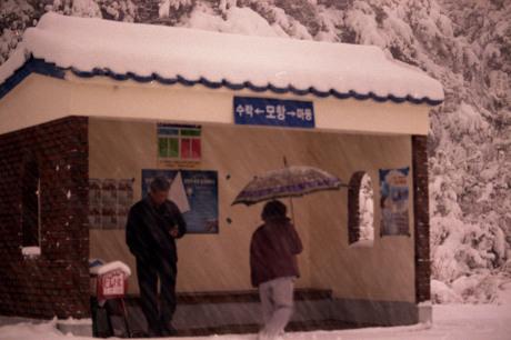 Cover Image for 노블펜션