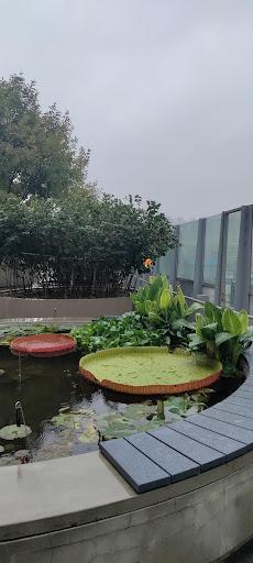 Cover Image for Hotel Manu Seoul