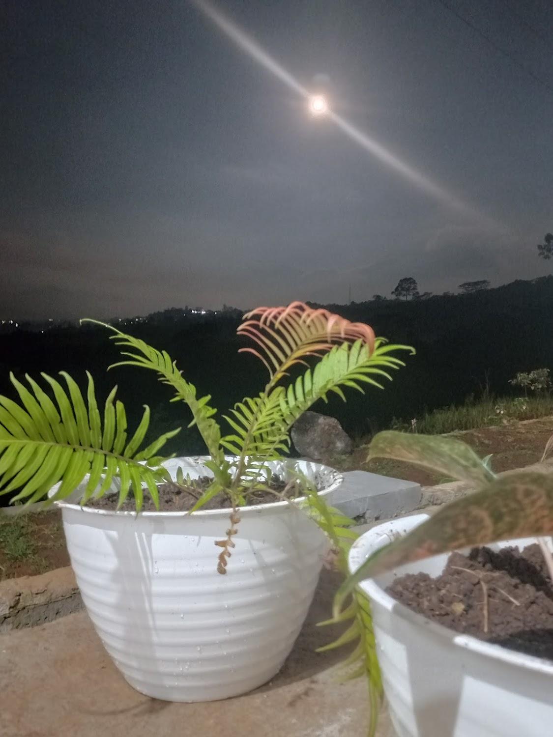 Cover Image for RUTENG GLAMPING AND CAMPSITE (View Point, Sunrise/Moonrise view)