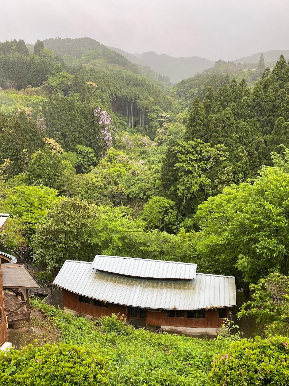 Cover Image for ロフティ七山