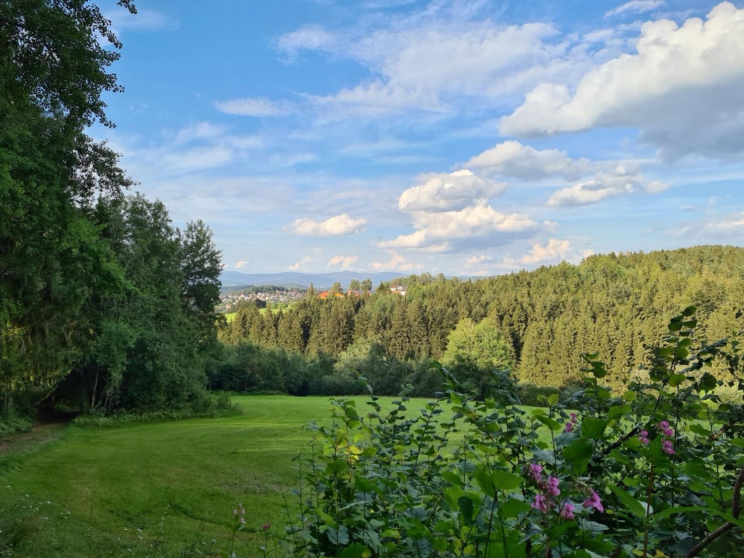 Cover Image for Waldferiendorf Regen
