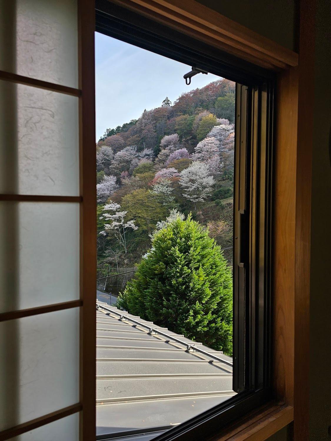 Cover Image for Miyoshino Sakuraan