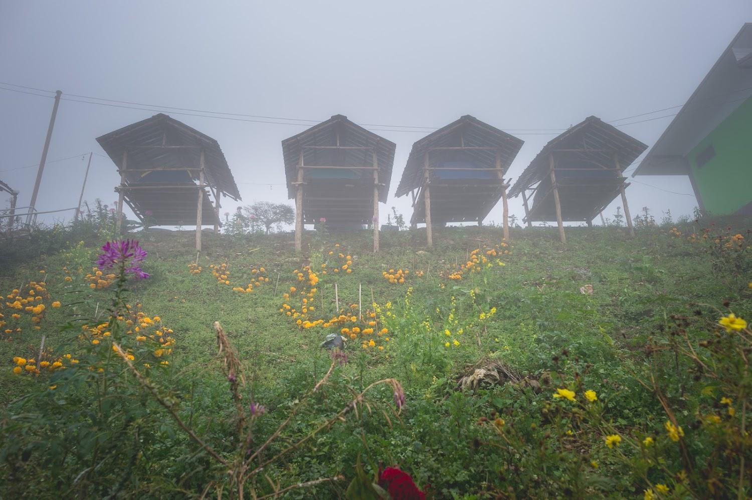 Cover Image for Phu Chee Dao Yodview Resort Hotel, Phu Chi Fah