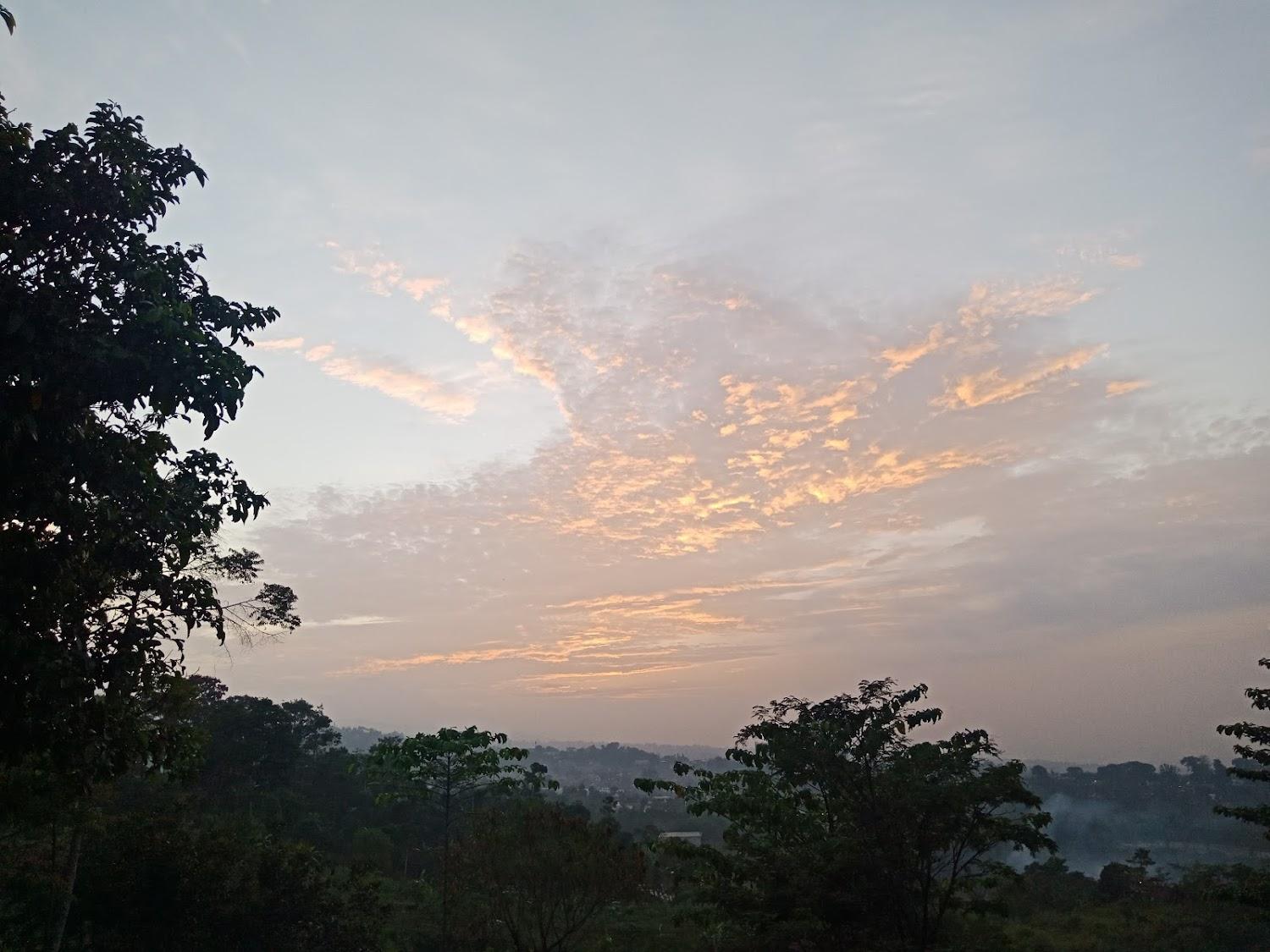 Cover Image for Vila Ambu