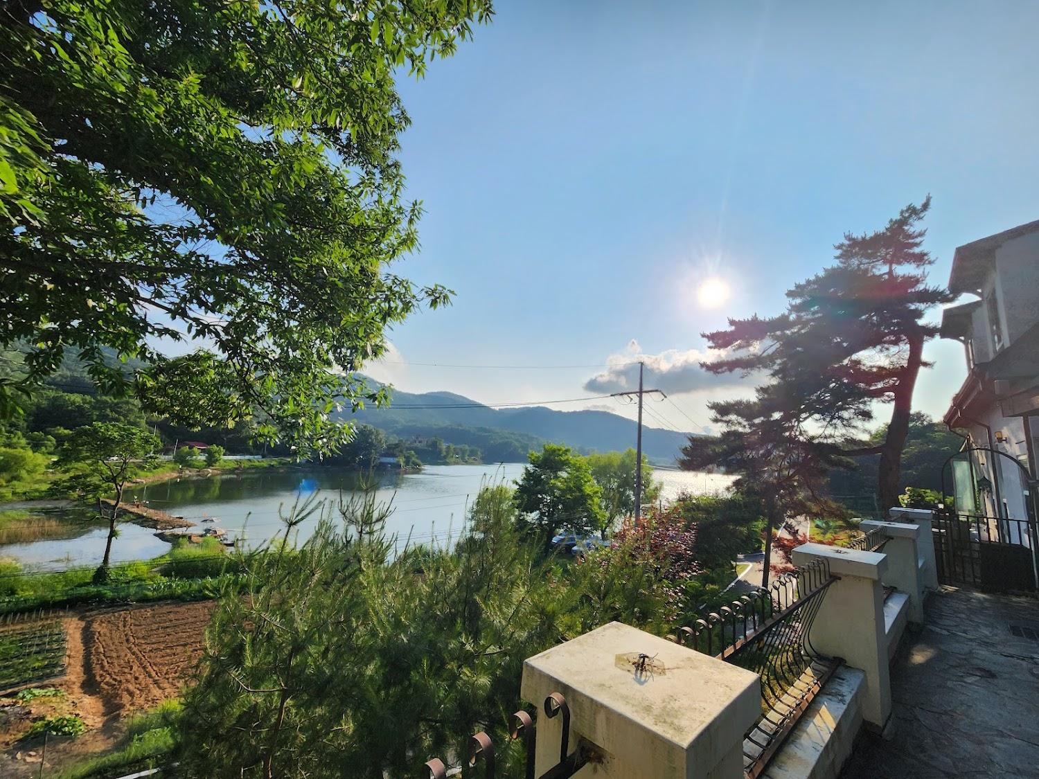 Cover Image for 제제펜션