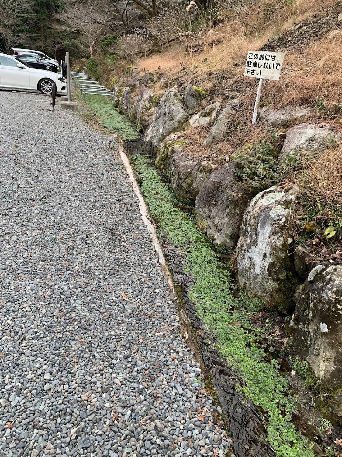 Cover Image for 船山温泉