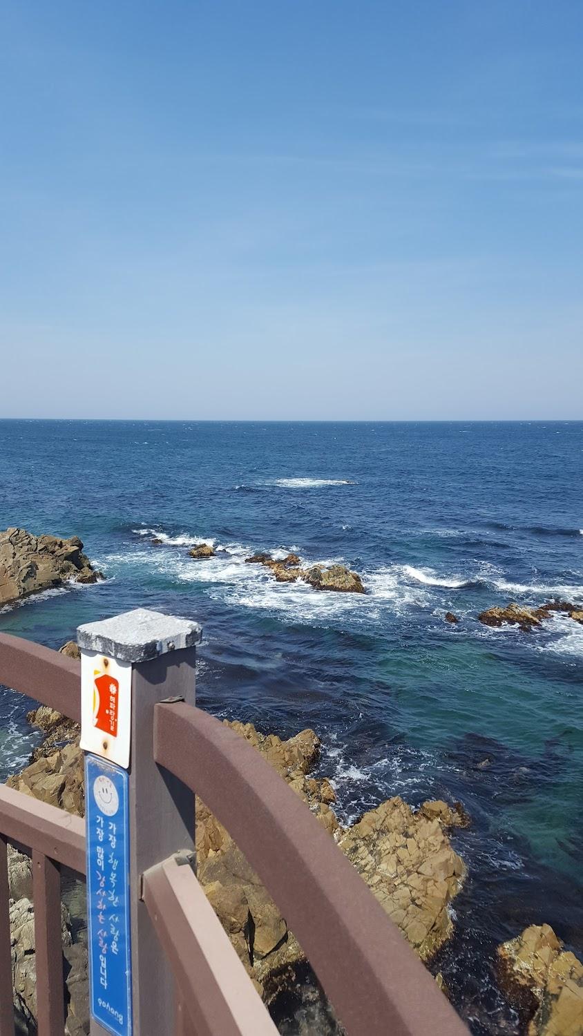 Cover Image for 다모디풀빌라펜션