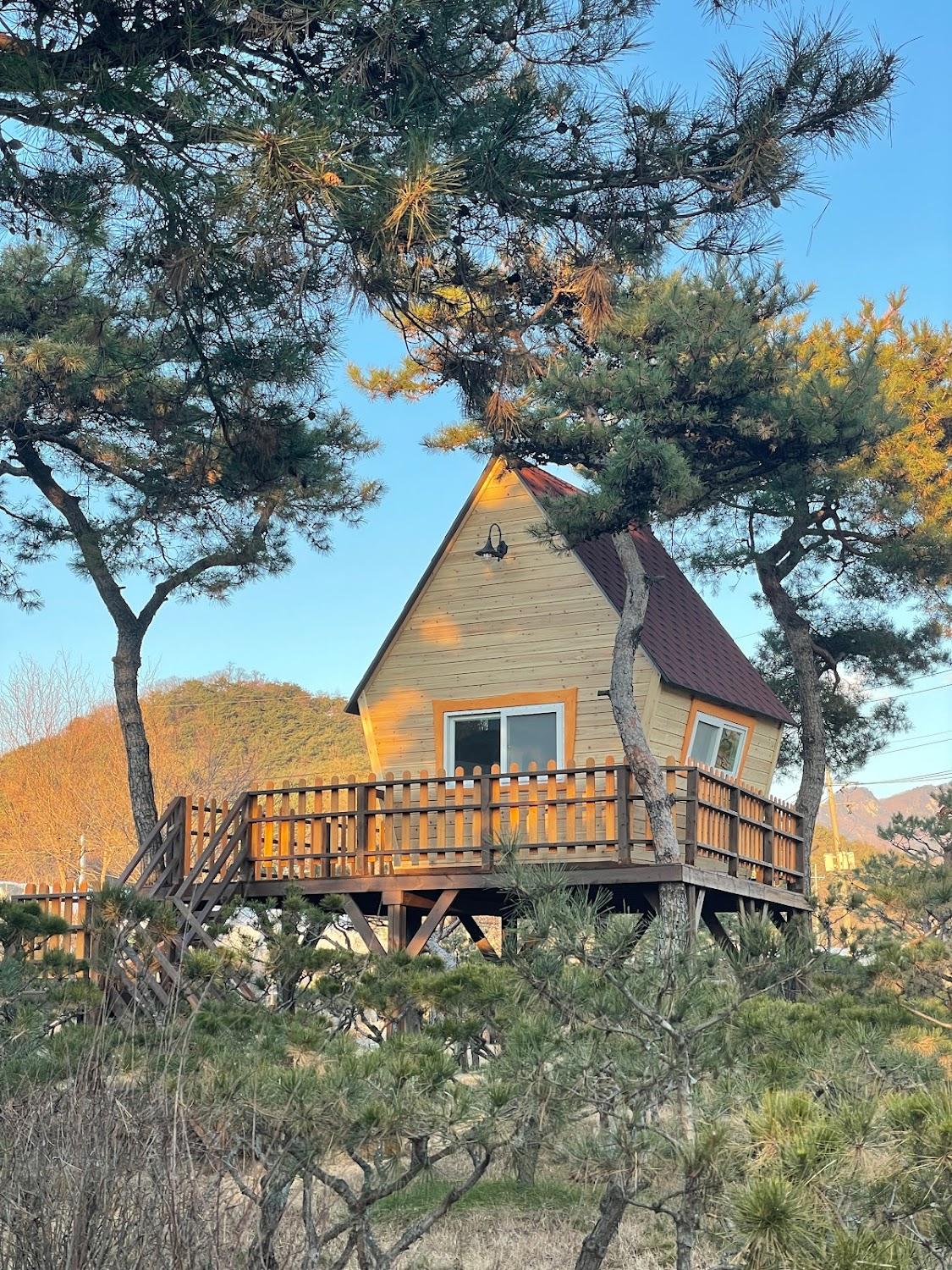 Cover Image for 샘물농장