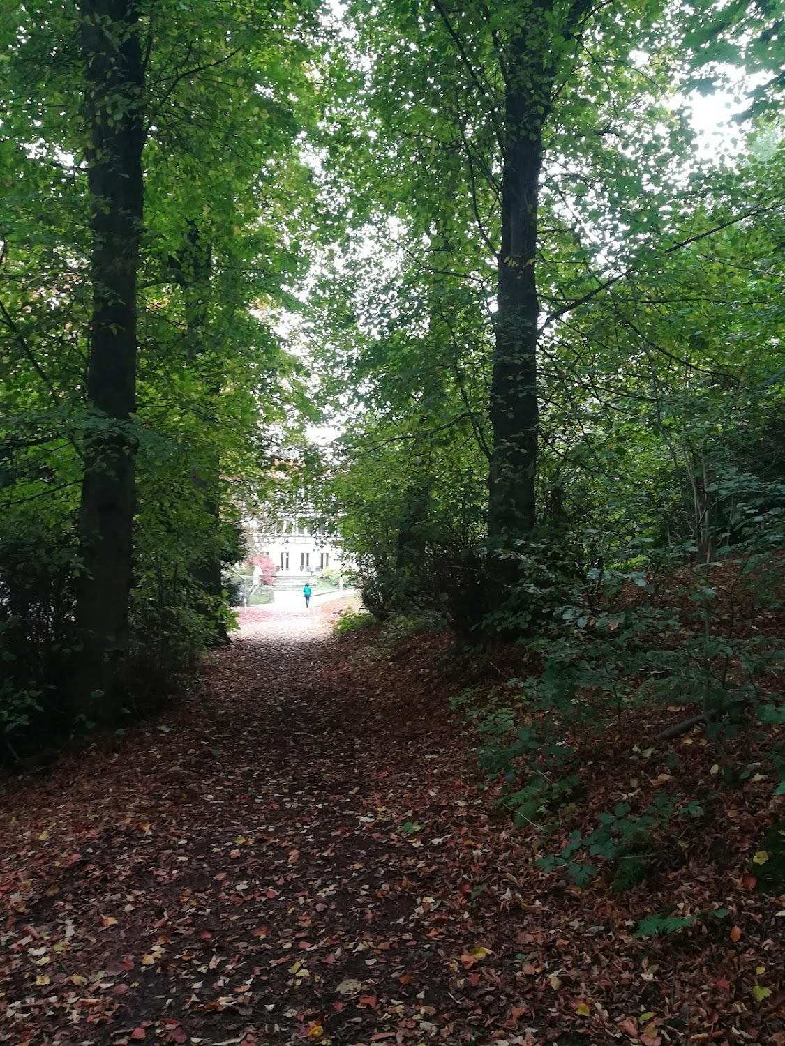 Cover Image for SGV-Jugendhof
