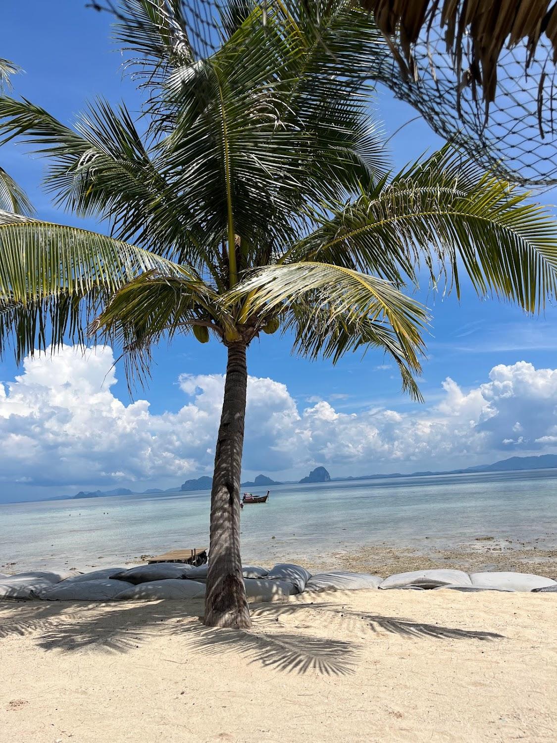 Cover Image for CoCo Cottage resort & CoCo Bistro Restaurant