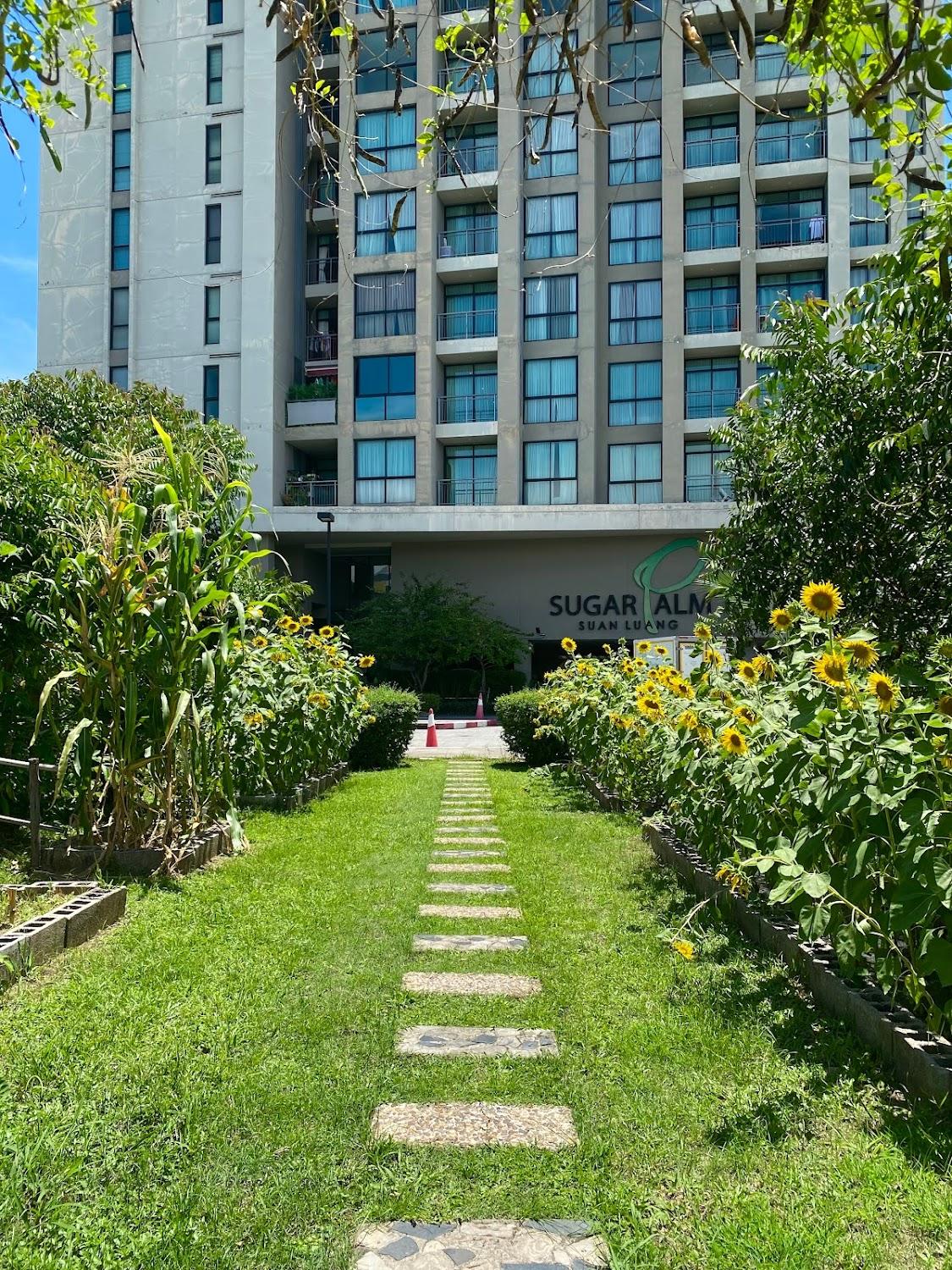 Cover Image for Sugar Palm Residence