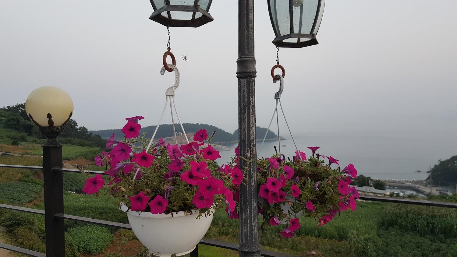 Cover Image for 노을펜션