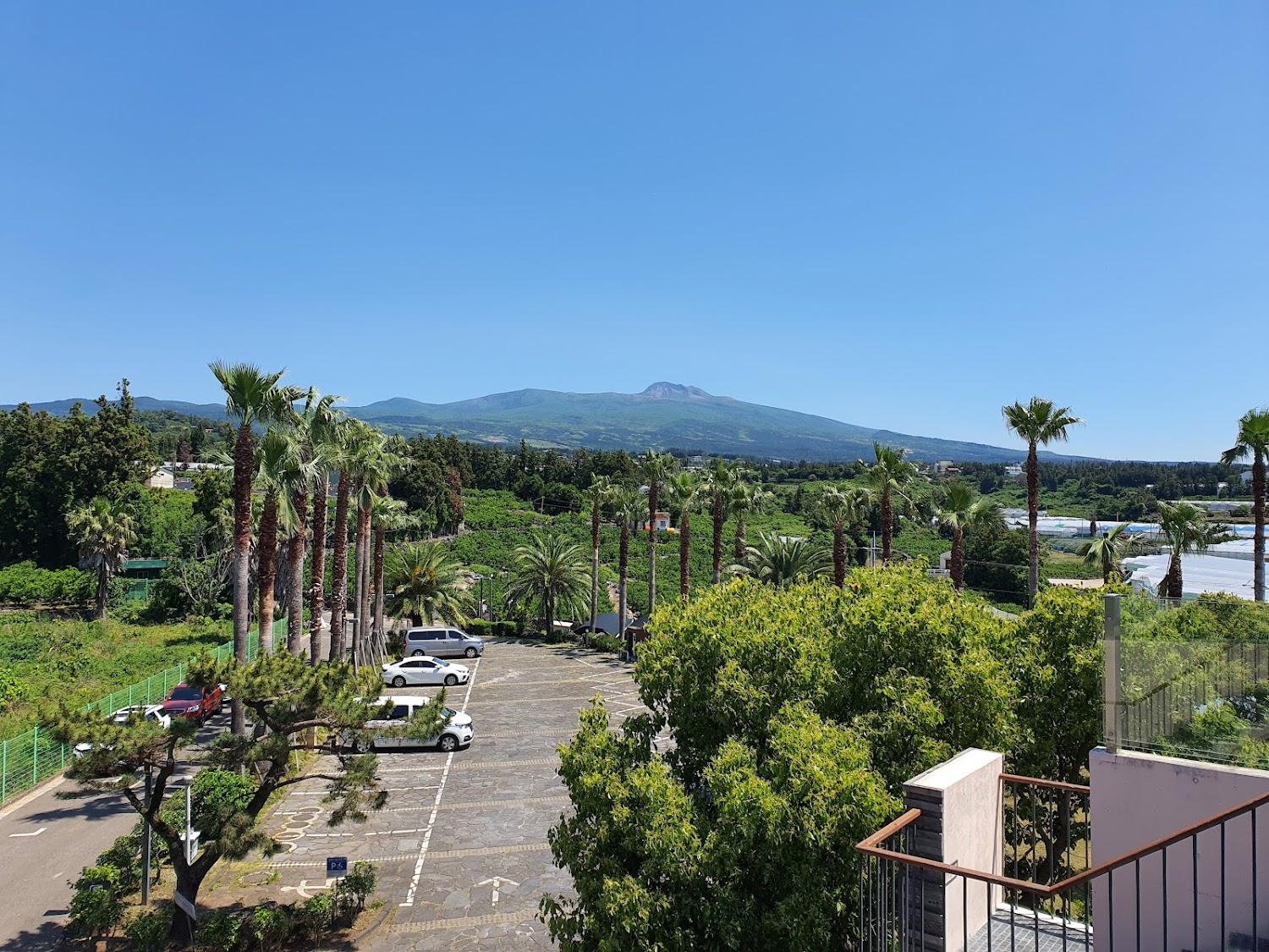 Cover Image for Dam and Roo Resort