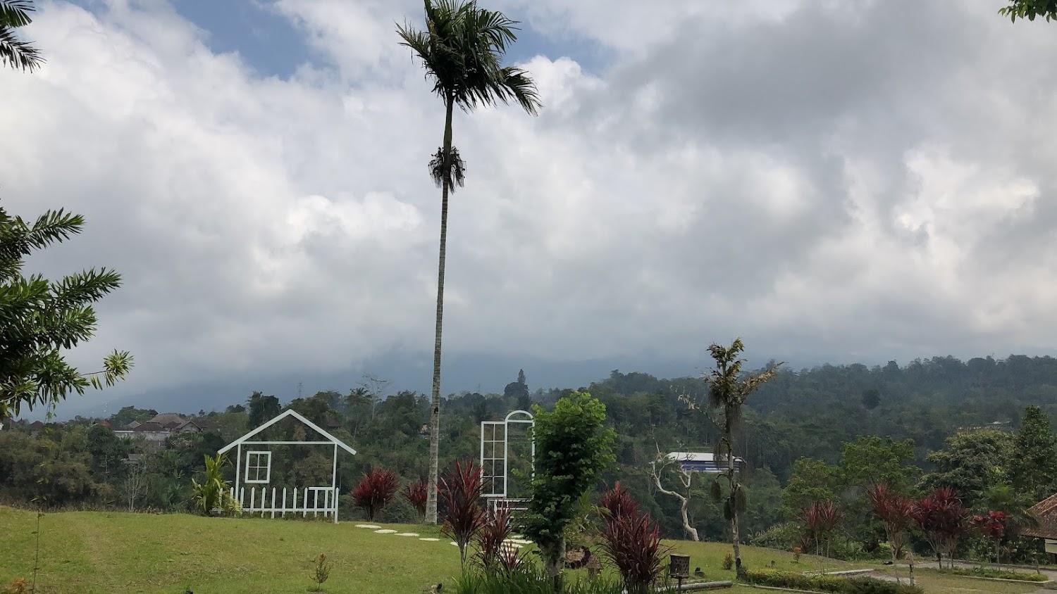 Cover Image for Bali Camp