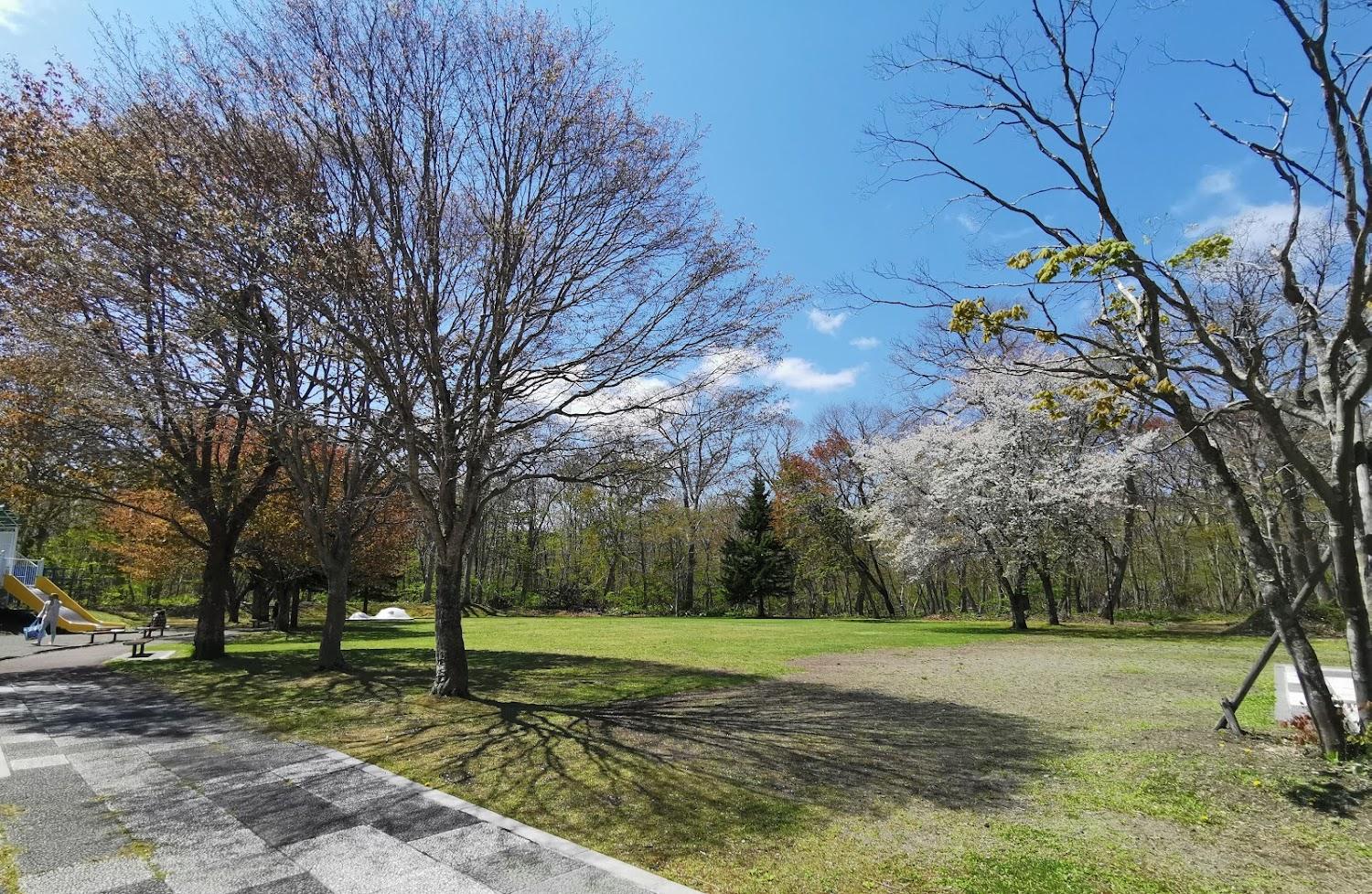 Cover Image for Aoba Park Picnic Square