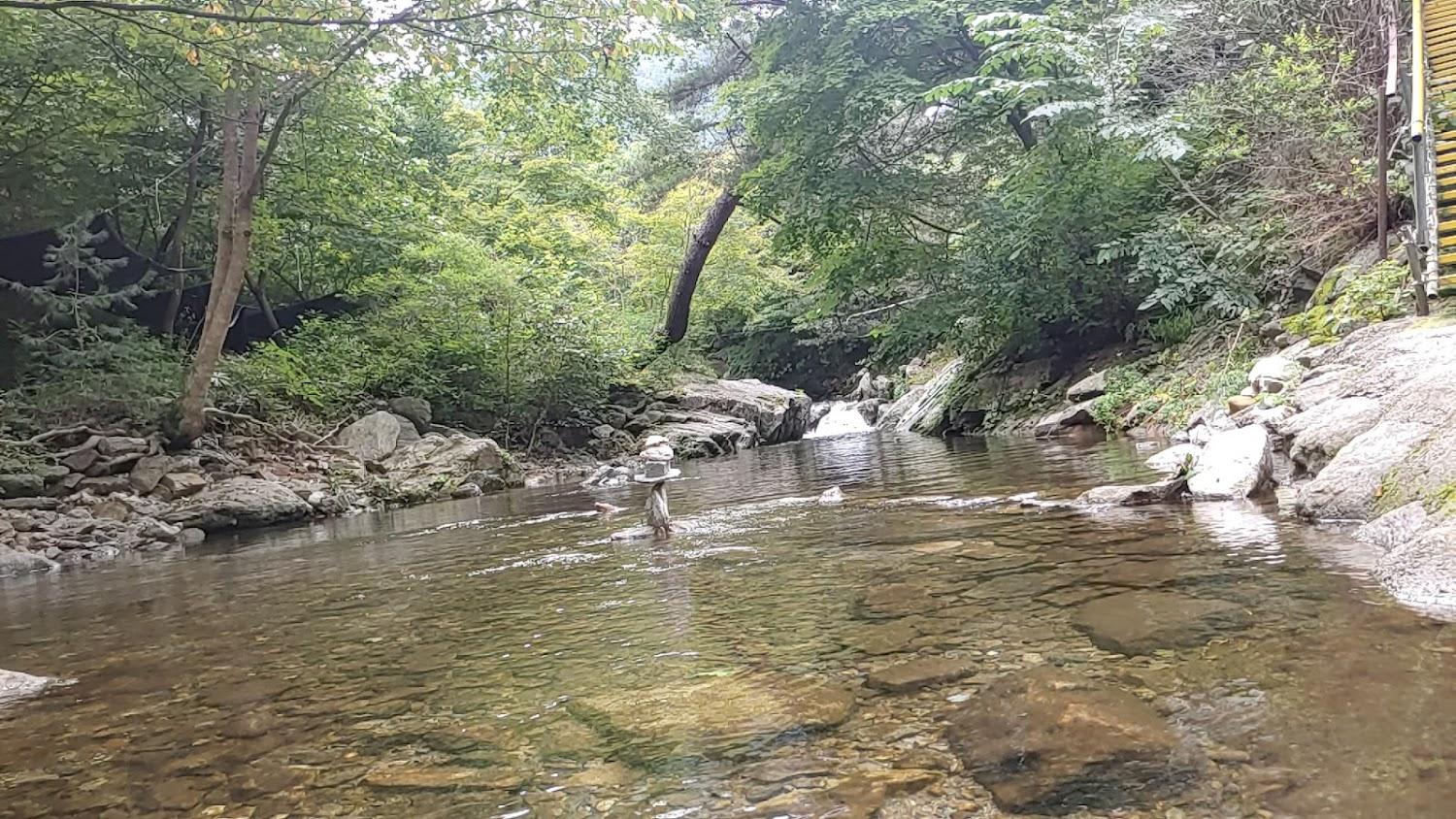 Cover Image for 그집펜션