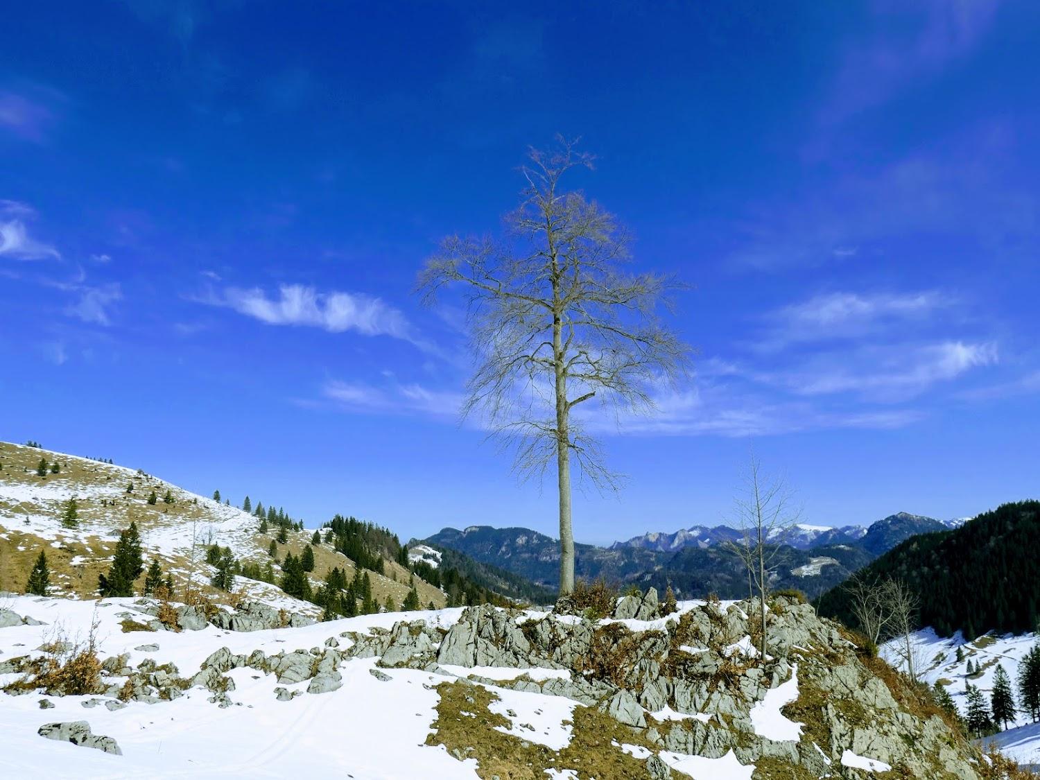 Cover Image for Berggasthof Rosengasse