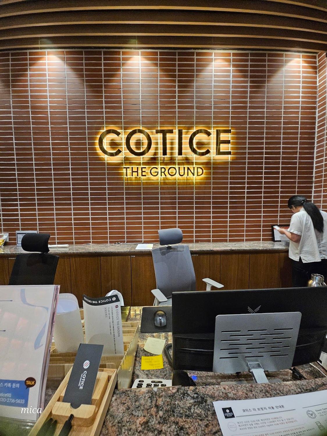 Cover Image for Cotice the Bridge