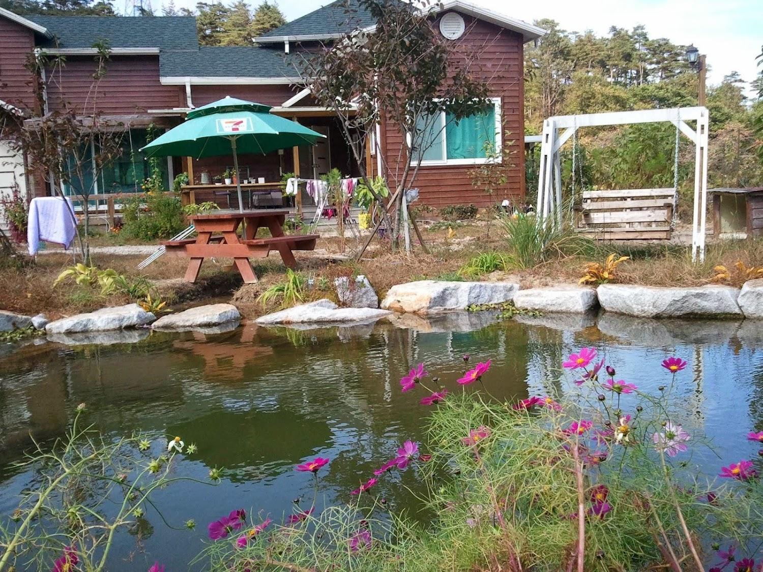 Cover Image for 강릉펜션 쉴만한물가
