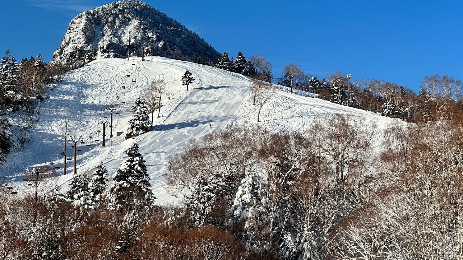 Cover Image for Shigakogen Hotel Ichibokaku