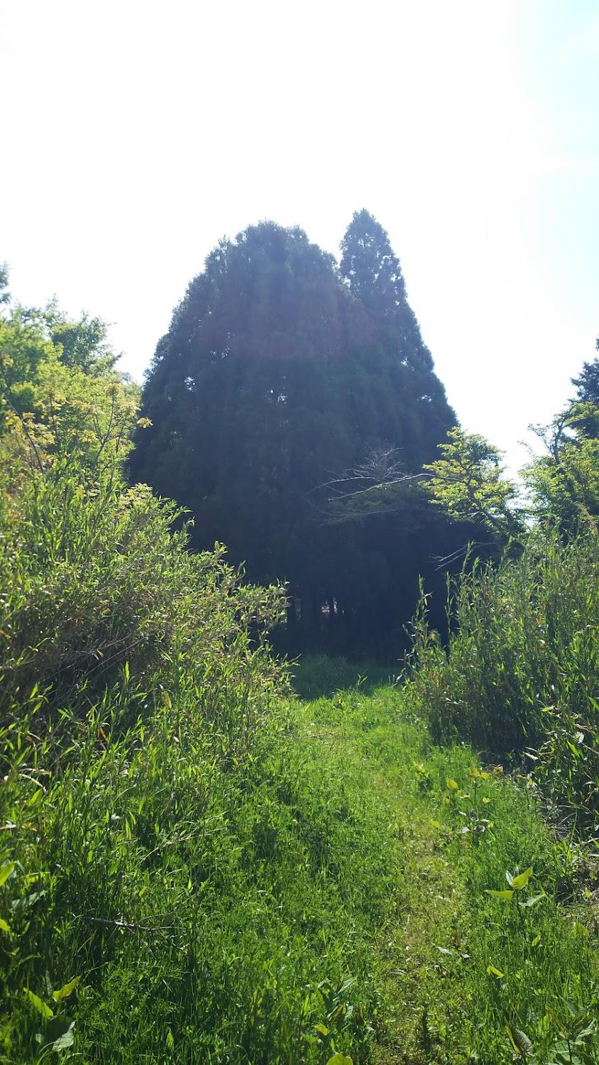 Cover Image for ロッジ山