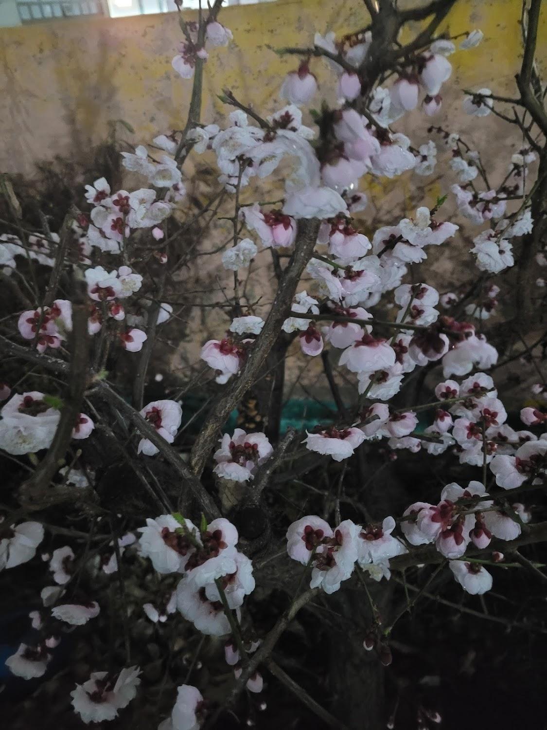 Cover Image for 올인모텔