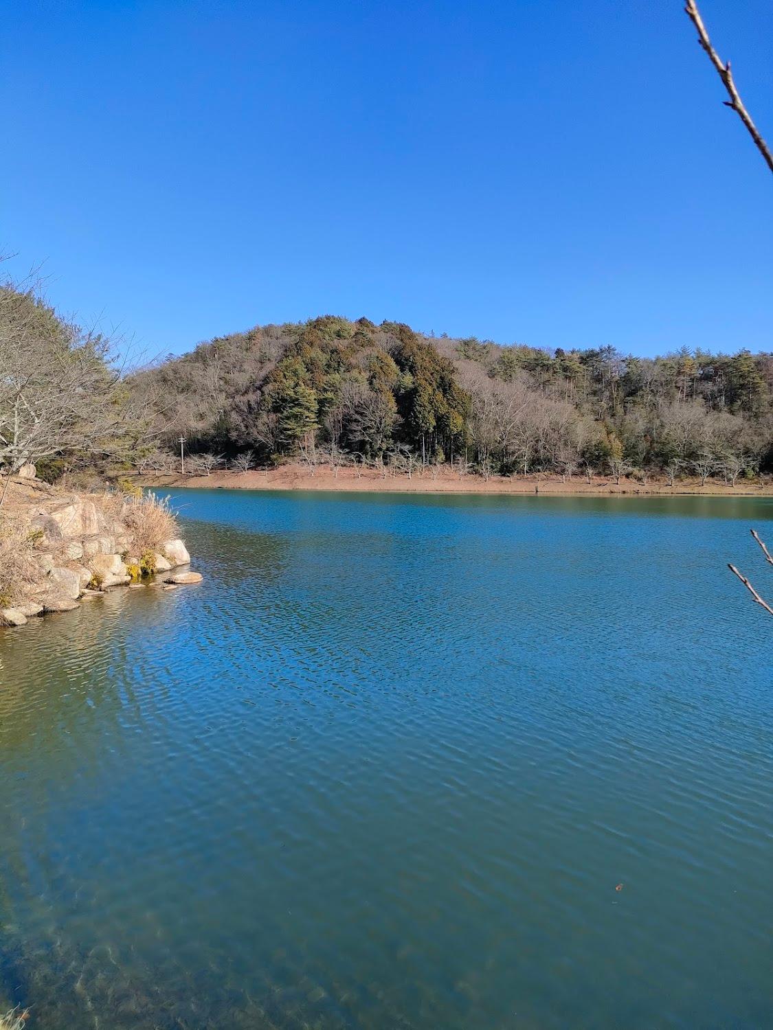 Cover Image for Hatakako Forest Park Camping Ground
