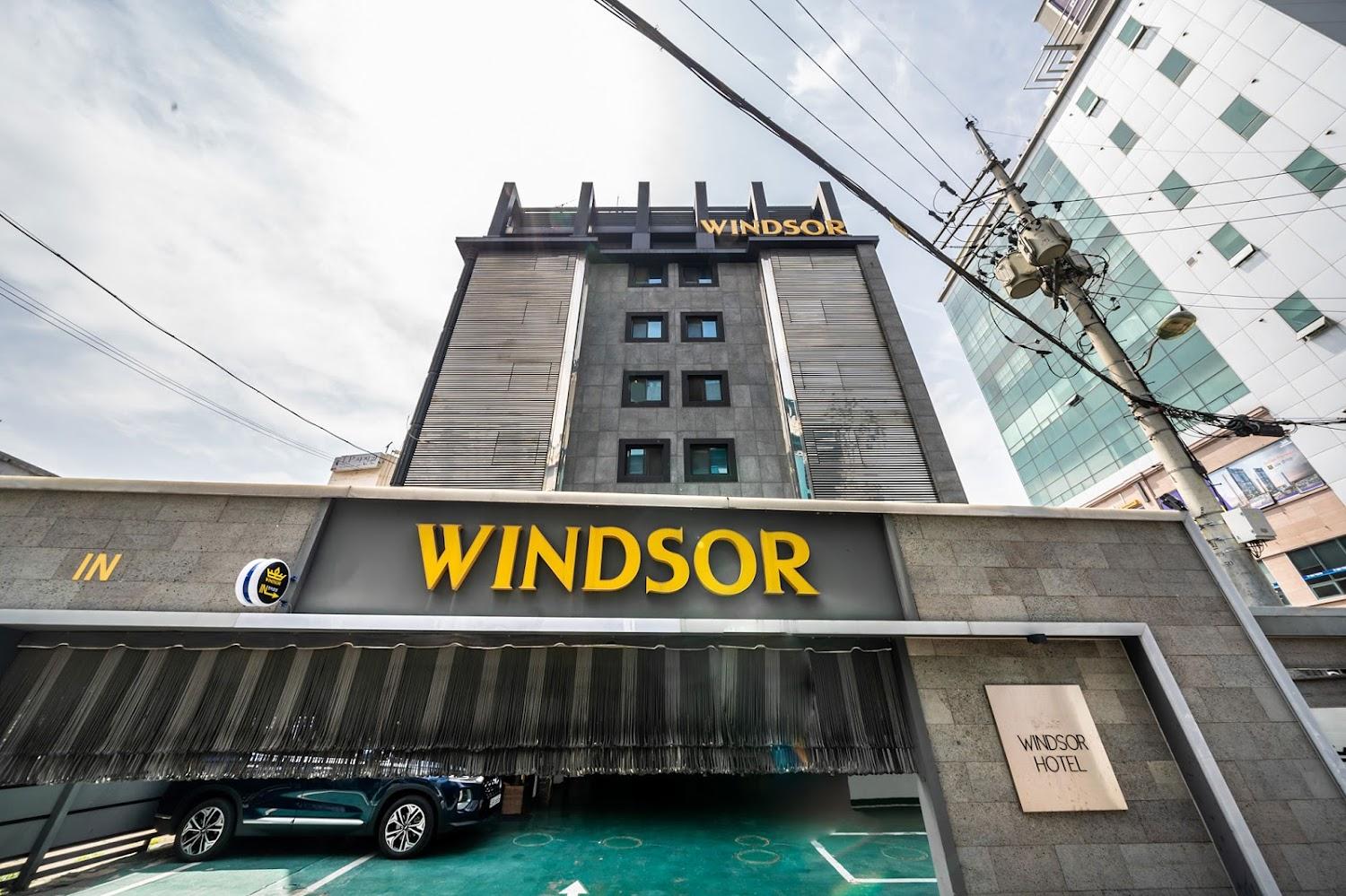 Cover Image for Winsor