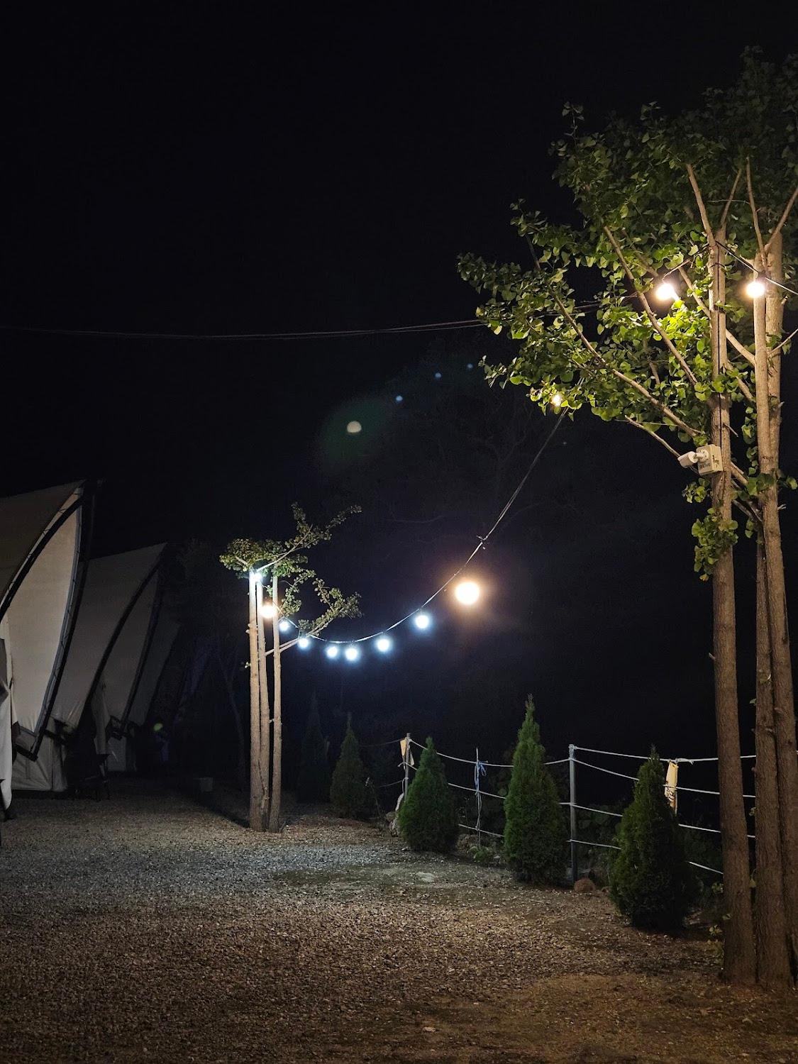 Cover Image for 가평 더캠프 카라반 글램핑