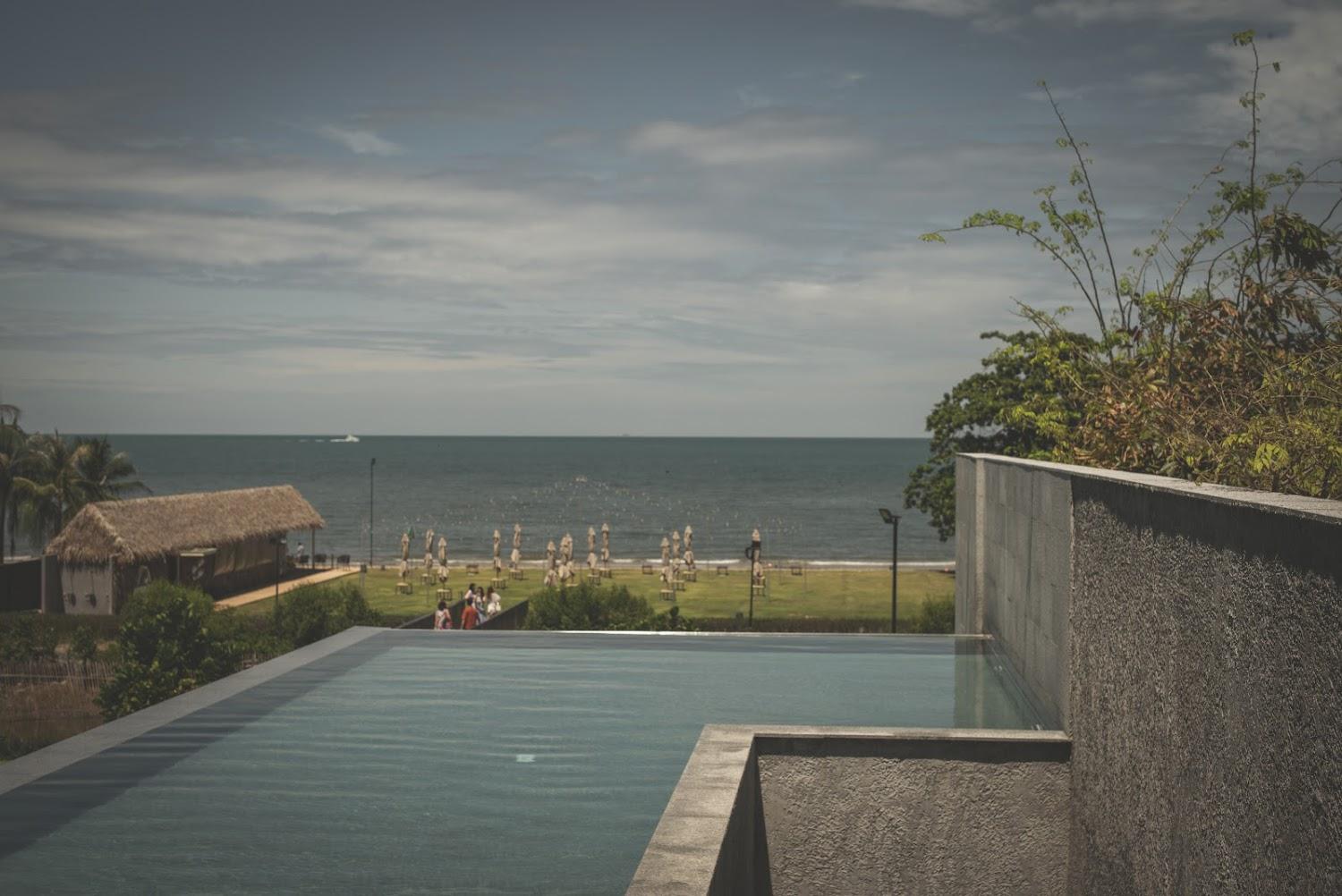 Cover Image for Blue tang at Ana Anan Pattaya
