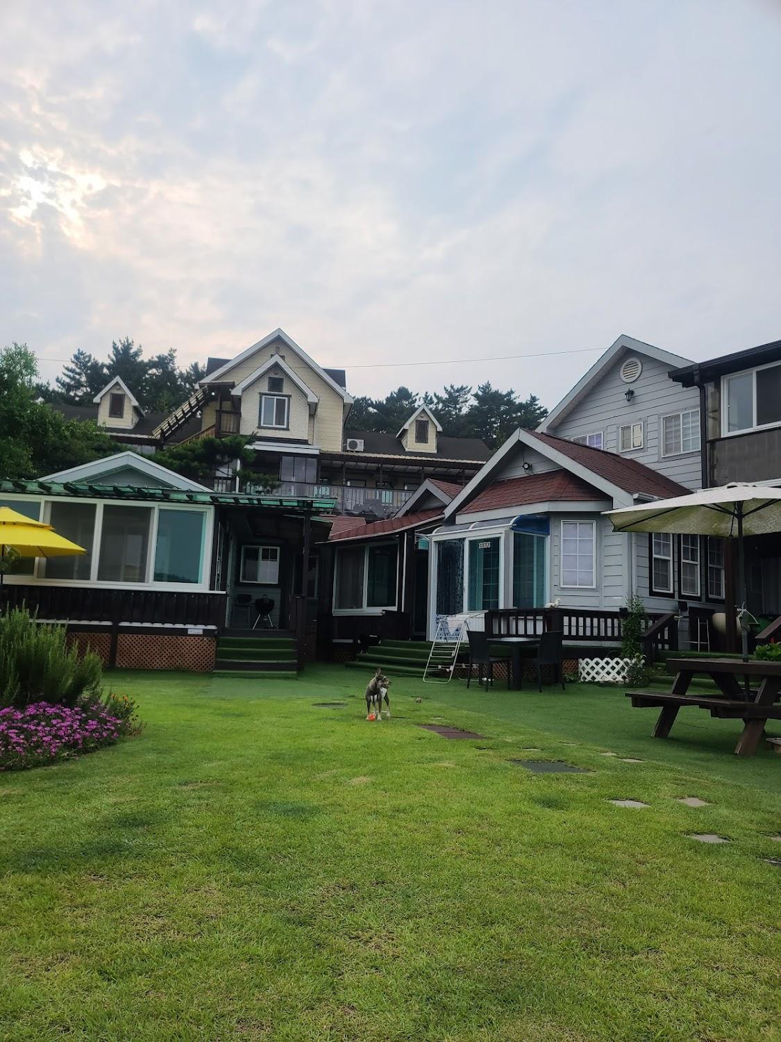 Cover Image for 태양은가득히펜션