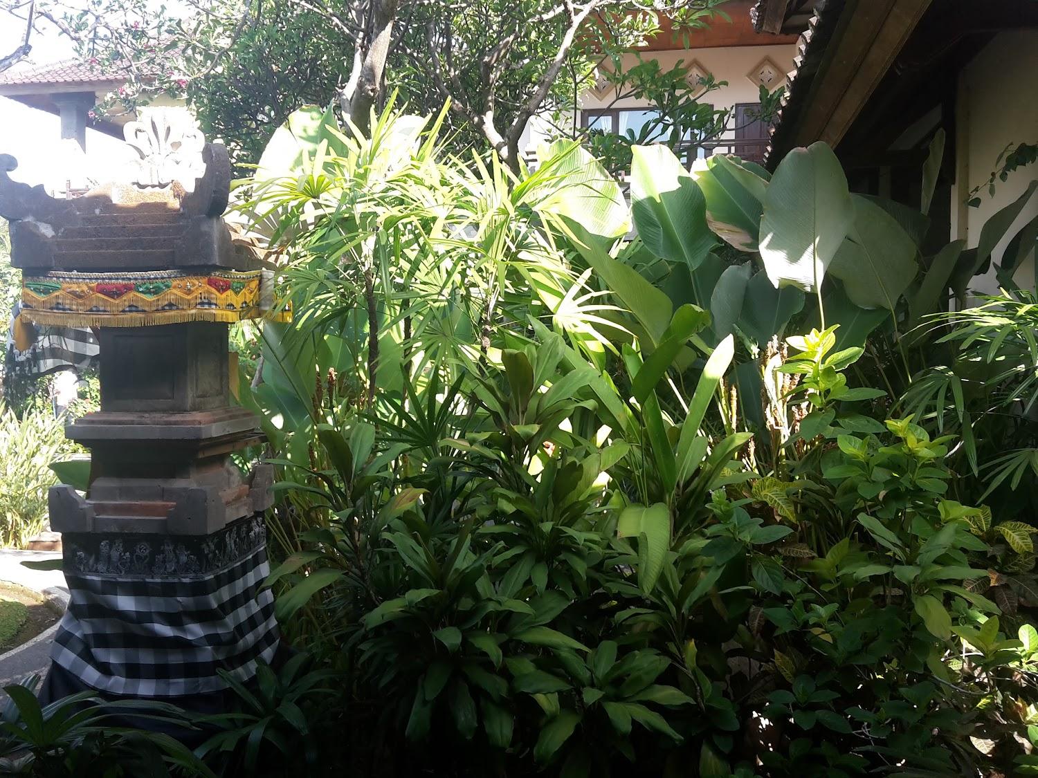 Cover Image for Sunshine Bungalows,Restaurant & Spa