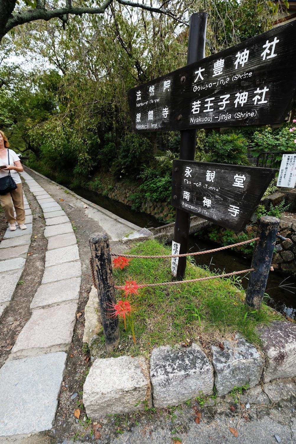 Cover Image for Teppanyaki by Japan Experience
