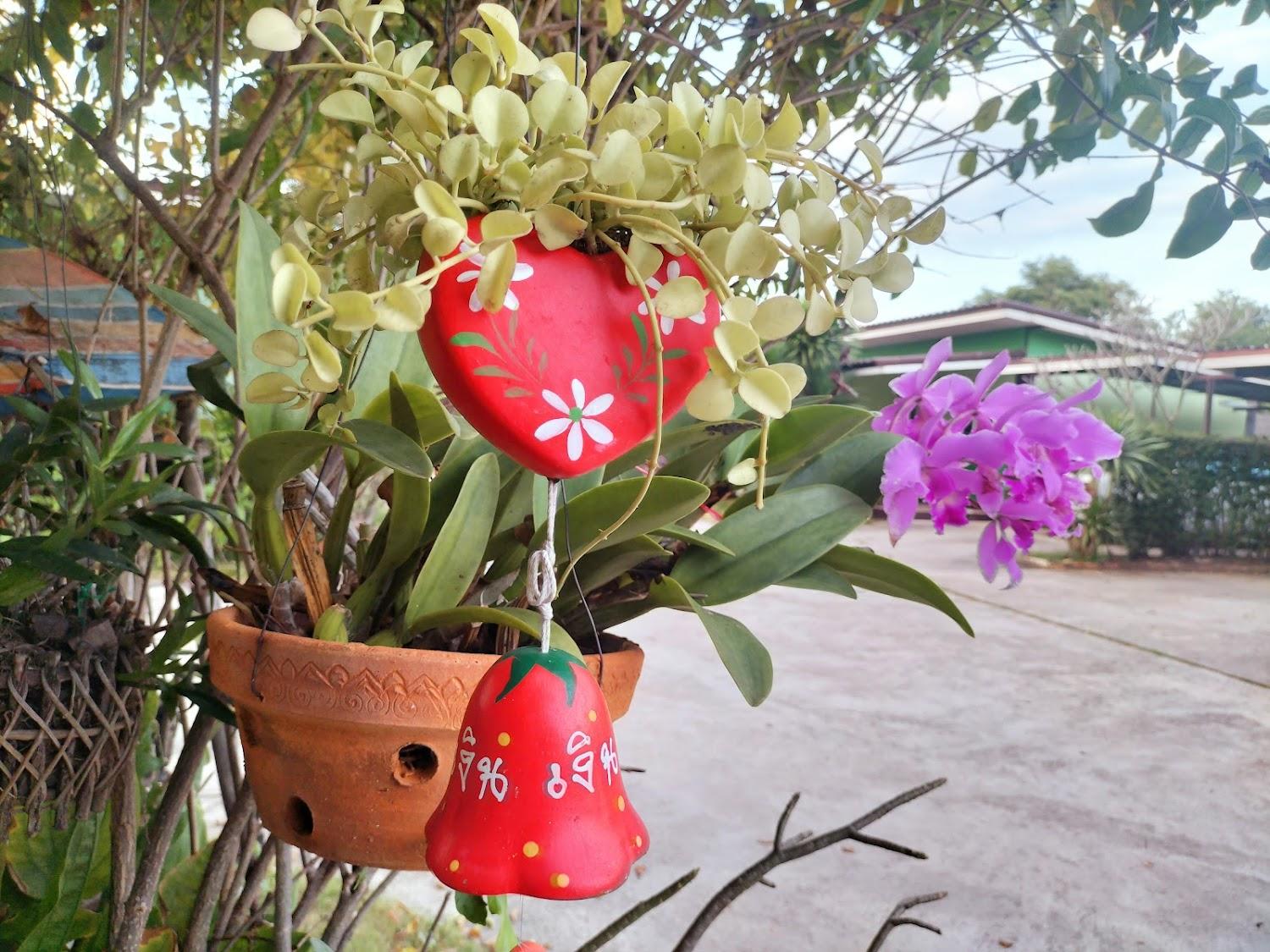 Cover Image for บุรี รีสอร์ท ปากช่อง